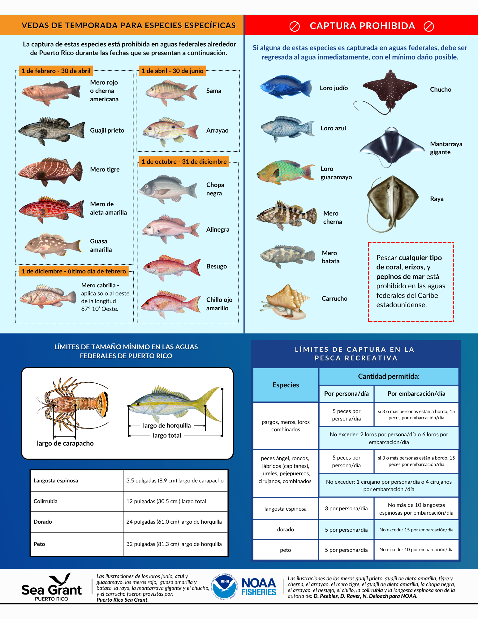 Esp Summary of Commercial and Recreational Regulations in Federal Waters U.S. Virgin Islands